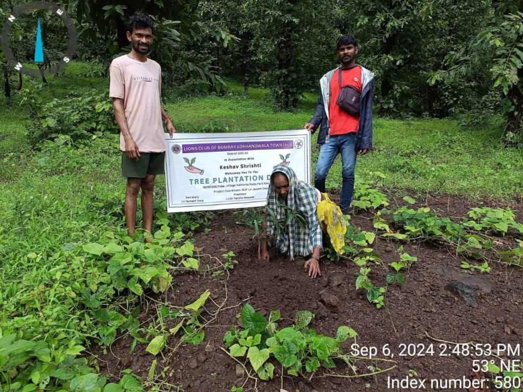 Tree plantation at Wada
